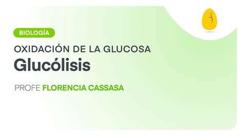 Oxidacion De La Glucosa - XIli