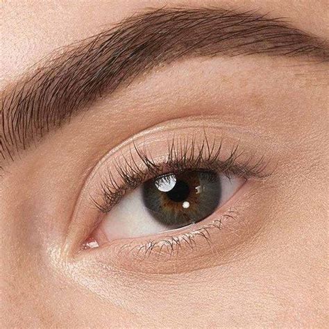 Brow Lift In Iran Best Surgeons Prices