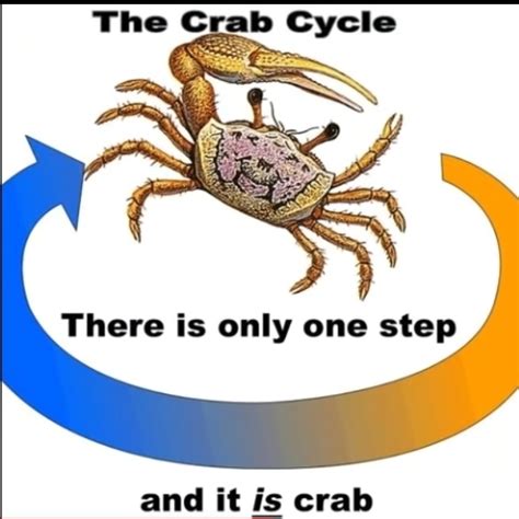 Crab Blank Template Imgflip