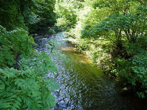 Sirhowy River Expat A Flickr