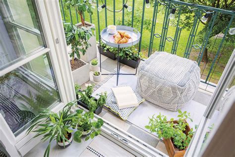 Balcones Cu Les Son Las Mejores Plantas Y Flores Para Decorarlo Seg N