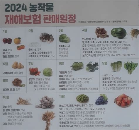 창원특례시 “2024년 농작물 재해보험 적기에 가입하세요”