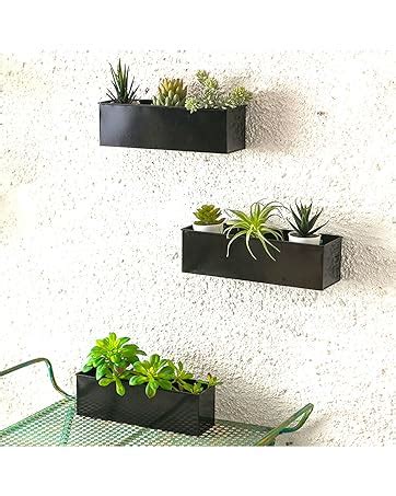 Amazon Lalagreen Wall Planter Indoor Plants Pack Inch