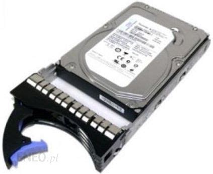 Dysk Twardy Ibm 73Gb 3 5In 15K Hs Sas Hdd For Ds3000 40K1043 Opinie I