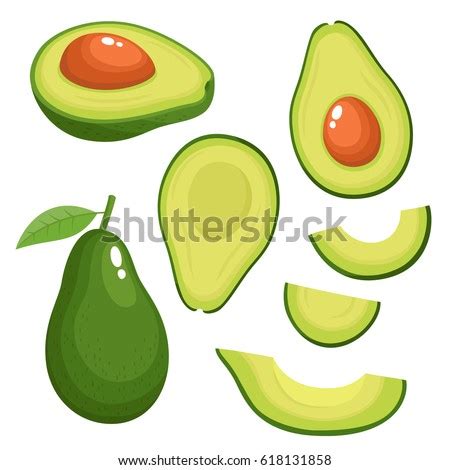 Bright Vector Set Colorful Half Slice Shutterstock