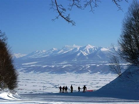 誰と行きたい？景色も抜群の富良野スキー場に感激！