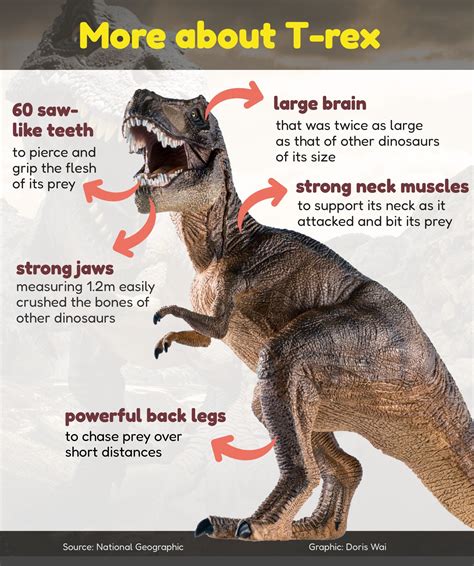 Facts about the T. rex, king of the tyrant lizards and one of the