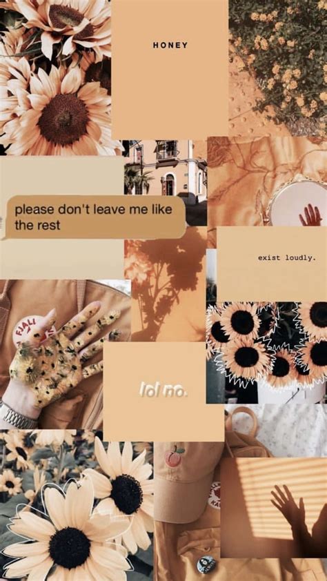 Download Brown Pastel Aesthetic Flowers And Quotes Collage Wallpaper