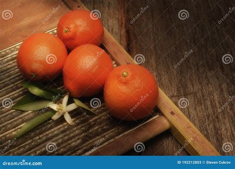 Dancy Mandarin Stock Photos Free And Royalty Free Stock Photos From