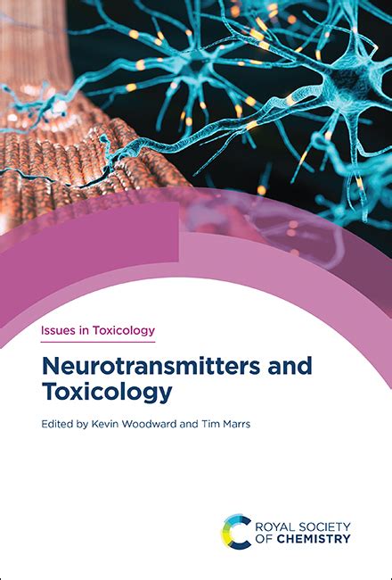 Cannabinoid Neurotransmission Neurotoxicity Or Neuroprotection