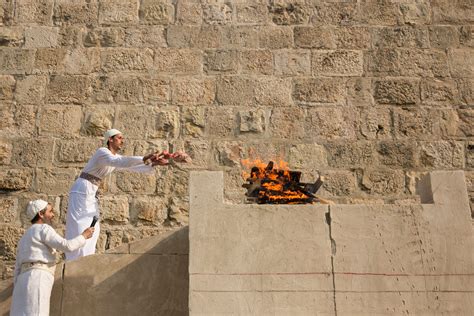 Temple Mount Activists Celebrate New Altar But Plea To Practice