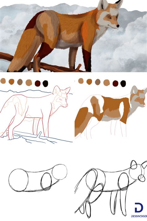 Comment Dessiner Un Renard Comment Dessiner Un Renard Croquis Renard Dessin Renard