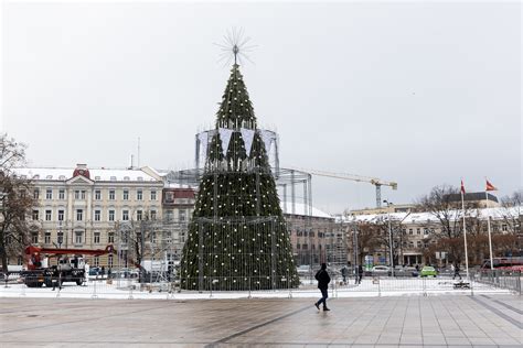 Vilniaus Kalėdų eglė šiemet virs gimtadienio tortu su 700 žvakių ir