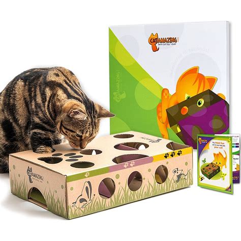 Combat Pet Cabin Fever with Cat and Dog Puzzle Toys | BeChewy