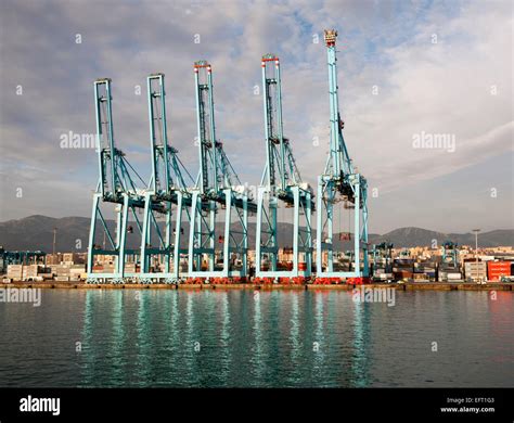 Large Cranes APM Terminals Container Ship Port At Algeciras Cadiz