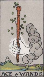 Ace Of Wands Meaning Reversed Yes And No Love Life Eratarot