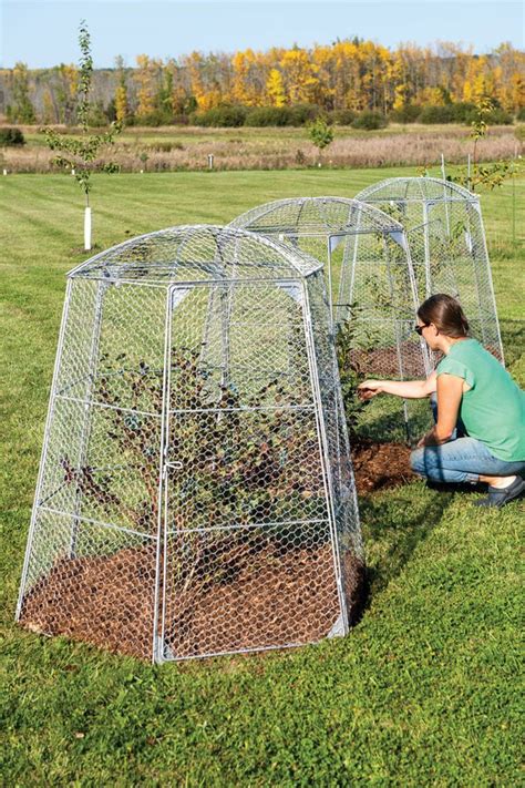 Chicken Wire Super Dome Extra Large Plant Protection Cage Garden Supplies Plant Protection