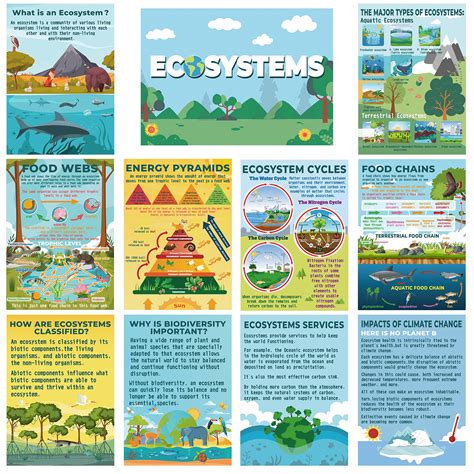 11 Pcs Science Posters For Classroom Ecosystems Teaching