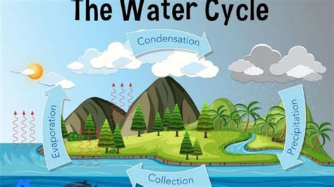 Water Cycle How Is Rain Formed What Is The Water Cycle Youtube