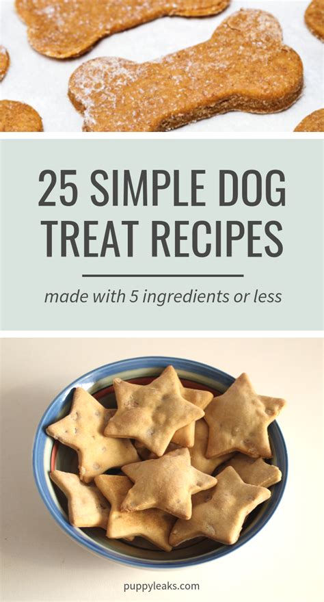 Easy Diabetic Dog Treat Recipes | Besto Blog