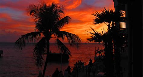 Key West: Day Trip & Hop On Hop Off Trolley Tour departing from Miami