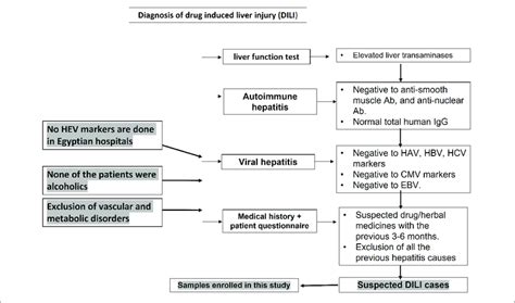 Flow Chart Showing The Diagnosis Of Drug Induced Liver Injury In