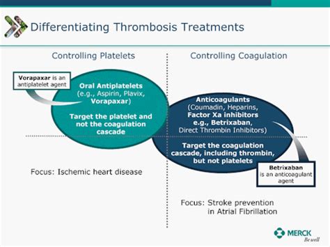 To Clot Or Not To Clotcoumadin Warfarin