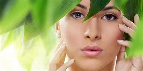 Aloe Vera I Suoi Benefici Helix Extra Cosmetics Store