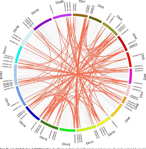 Figure From Identification And Expression Analysis Of Wrky Gene