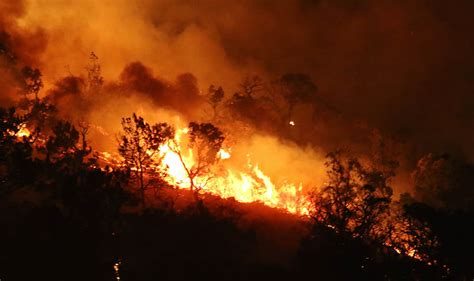 Meios reforçados no combate ao fogo em Monchique fotos