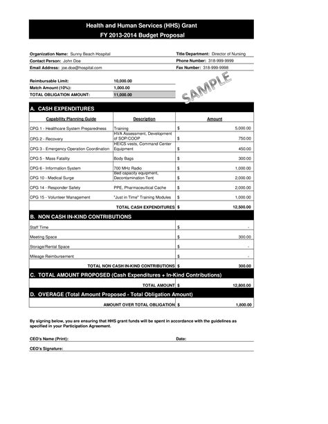 Hospital Operating Budget Templates At