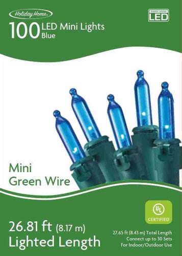 Holiday Home Indoor Outdoor 100 Green Wire Led Mini Christmas Lights