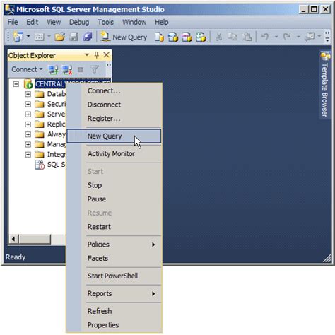 Microsoft Sql Server Lesson Introduction To Databases 23532 Hot Sex