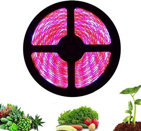 Amazon JIATONG Led Grow Light Strip 5M 5050 Full Spectrum Flower