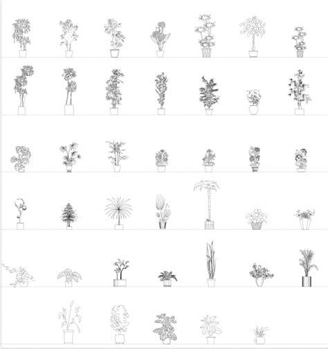 Outdoor Potted Plants Elevations Cad Collection Dwg Thousands Of Free