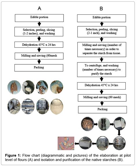 Food Process Flow Chart