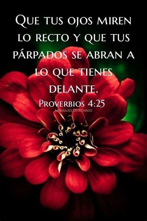 Pin De Karla En Texto Biblico Frases De Sabiduria Textos Biblicos De