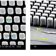 Representative Sem Images Of The Fabricated Pillars A Top View Of