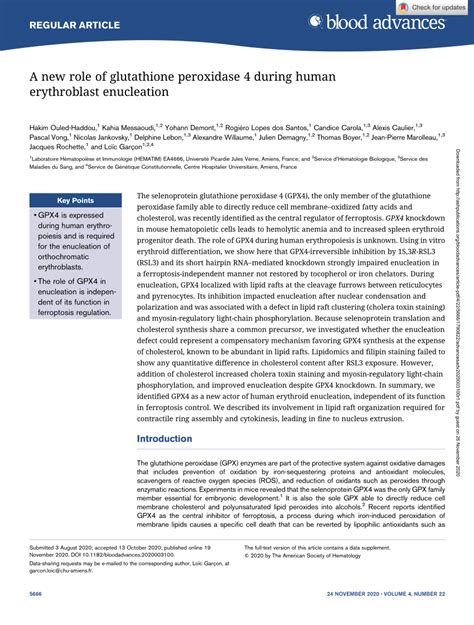 PDF A New Role Of Glutathione Peroxidase 4 During Human Erythroblast