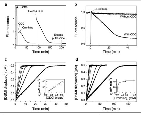 Figure 3 From A Label Free Continuous Fluorescence Based Assay For