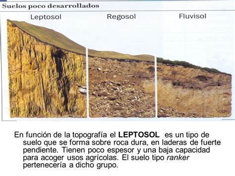 FUNDAMENTOS DE LA CIENCIA HISTORIA DE LA CIENCIA DEL SUELO EDAFOLOGÍA