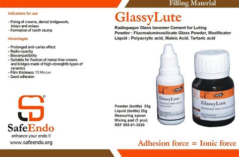 Safe Endo Glassy Lute Glass Ionomer Cement For Luting Alpha Dentkart