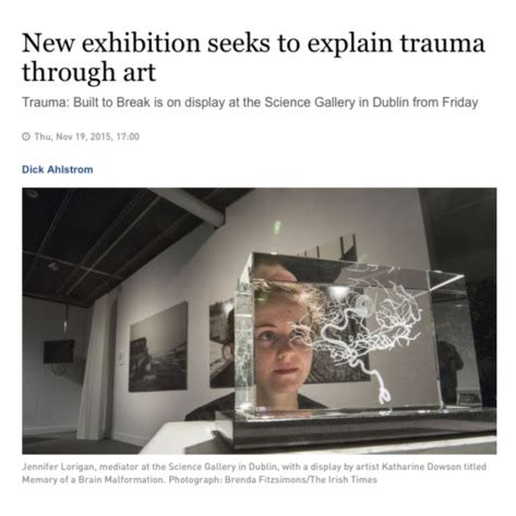 David Cotterrell Review The Irish Times New Exhibition Seeks To