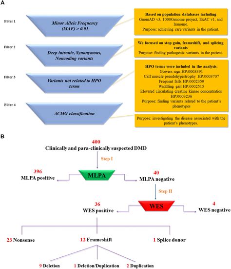 A VCF Filtering Steps Initially Variants With Minor Allele Frequency