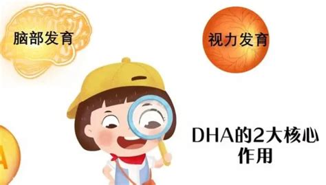 Dha的作用与功效 Dha最新研究解析 埃森美dha 哔哩哔哩