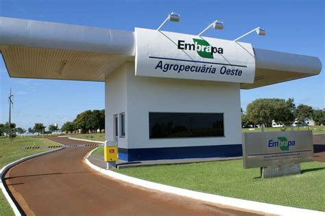 Embrapa Disponibiliza 80 Cursos Gratuitos Certificado