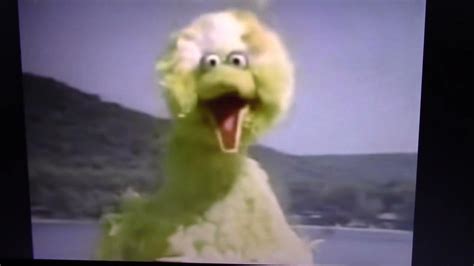 Sesame Street Moments Big Bird Learns To Swim Youtube