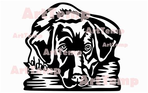 Labrador Svg Dog Dxf Cut File Vector Svg For Cricut Clipart Shirt