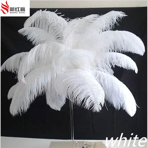 Natural White Ostrich Feather Cm To Inches Pcs Ostrich