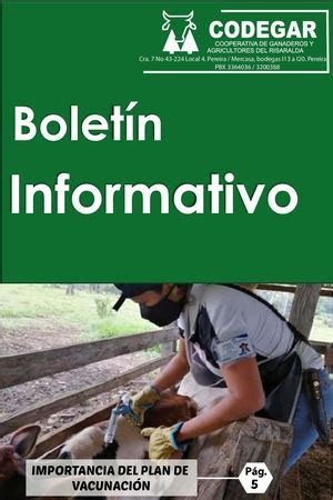 Calam O Boletin Informativo